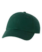 Bio-Washed Classic Dad Hat -  - 494