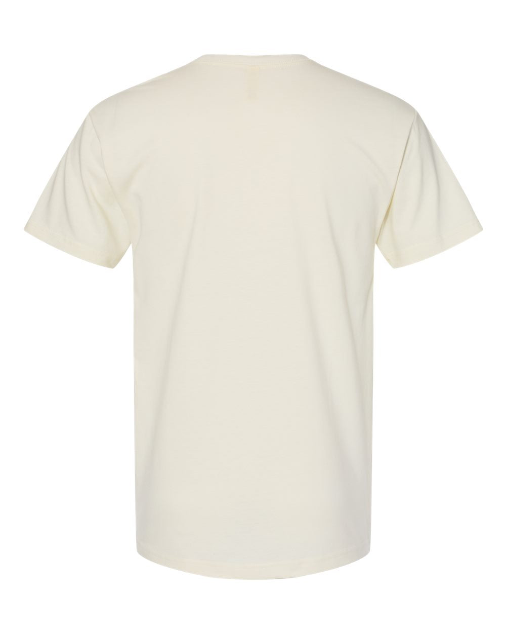 Next Level Eco Heavyweight T-Shirt 4600