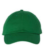 Bio-Washed Classic Dad Hat -  - 494