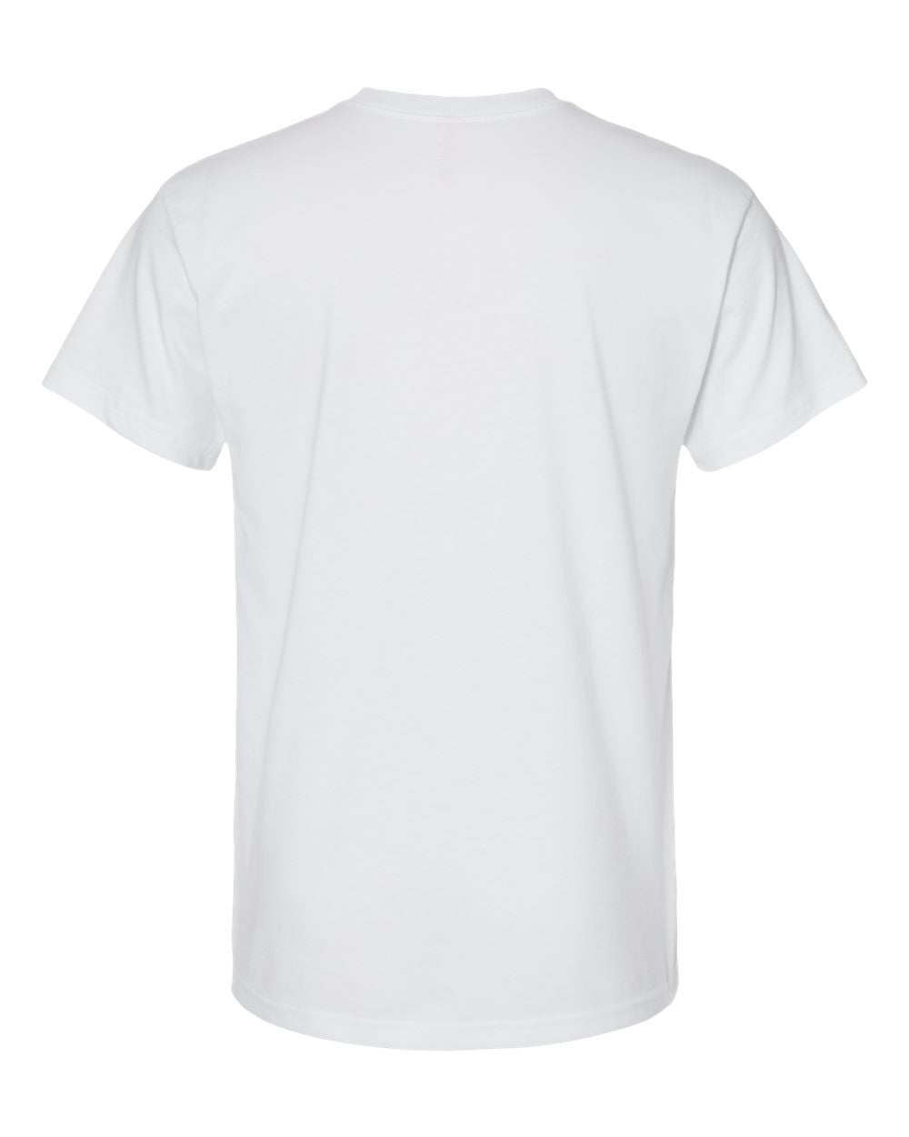 Next Level Eco Heavyweight T-Shirt 4600