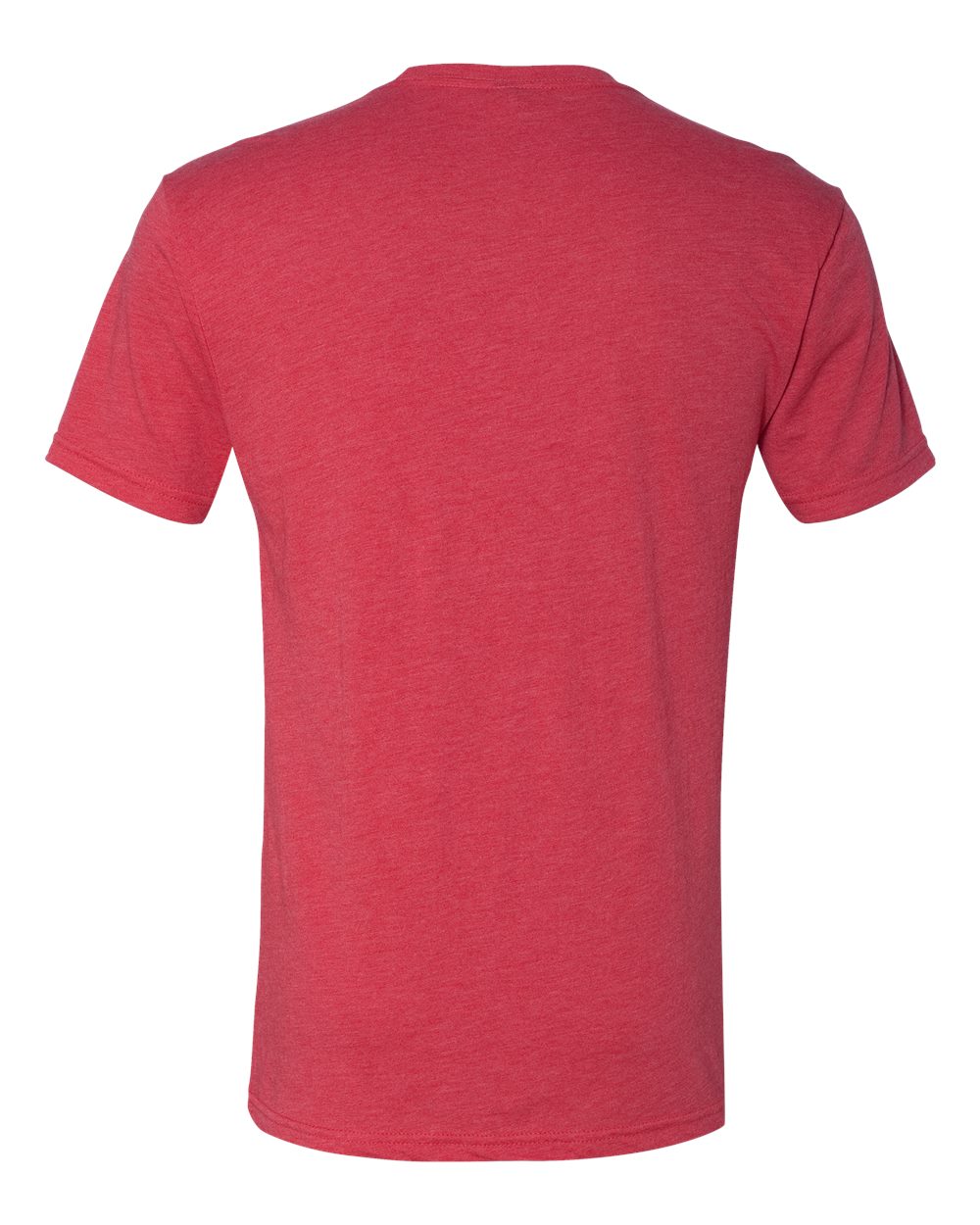 Next Level Triblend T-Shirt 6010