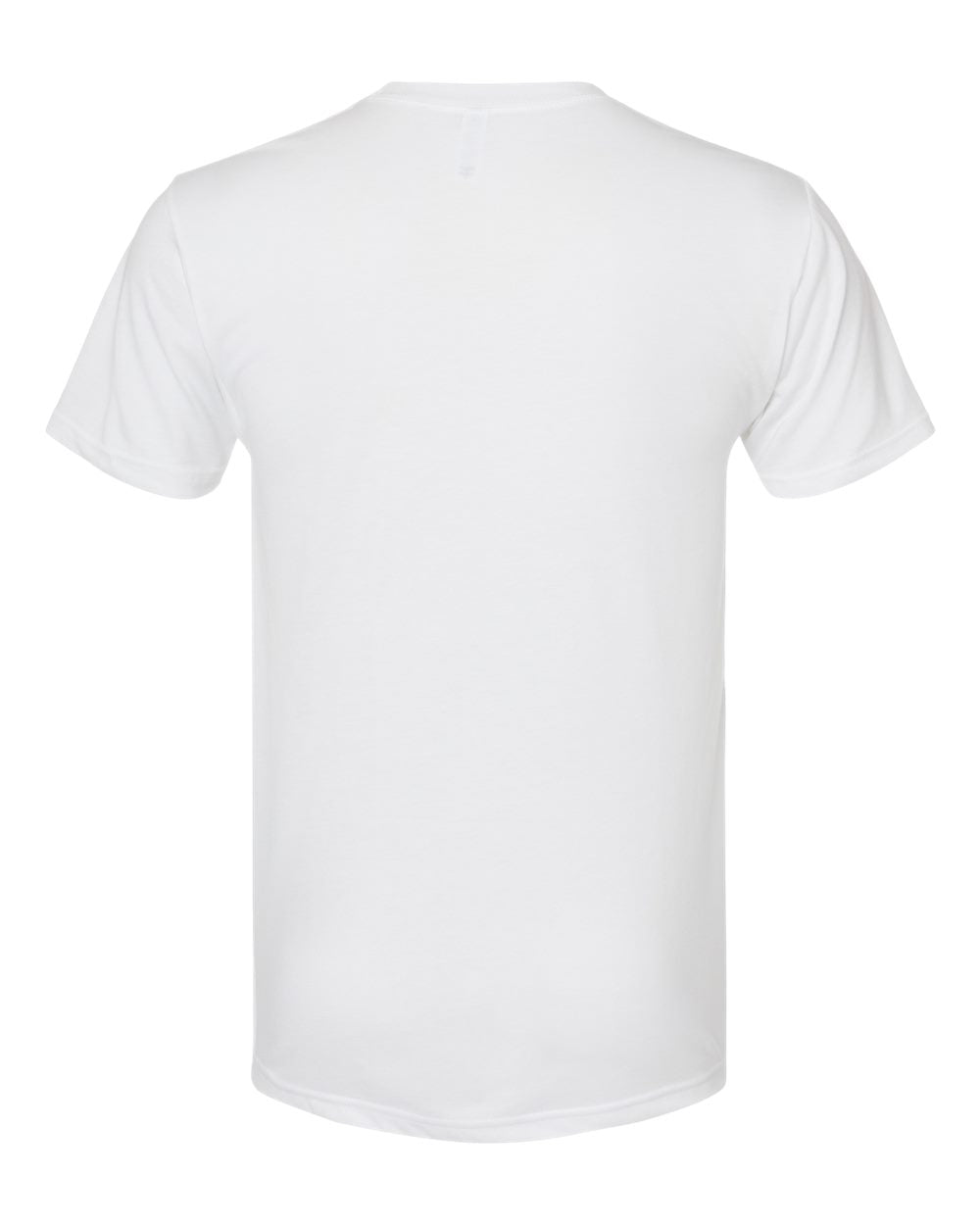 Next Level Triblend T-Shirt 6010