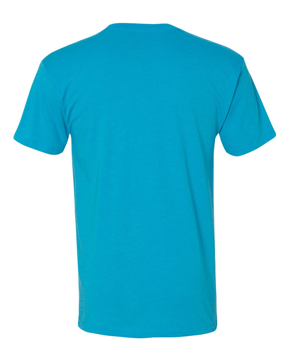 Next Level Triblend T-Shirt 6010