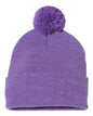 12" Pom-Pom Cuffed Beanie -  - 3015