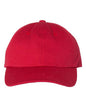 Classic Dad Hat -  - 4338