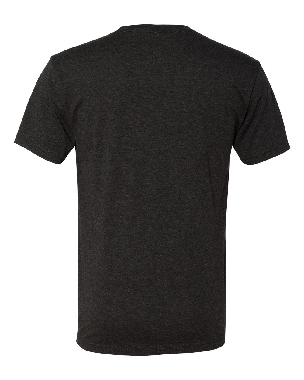 Next Level Triblend T-Shirt 6010