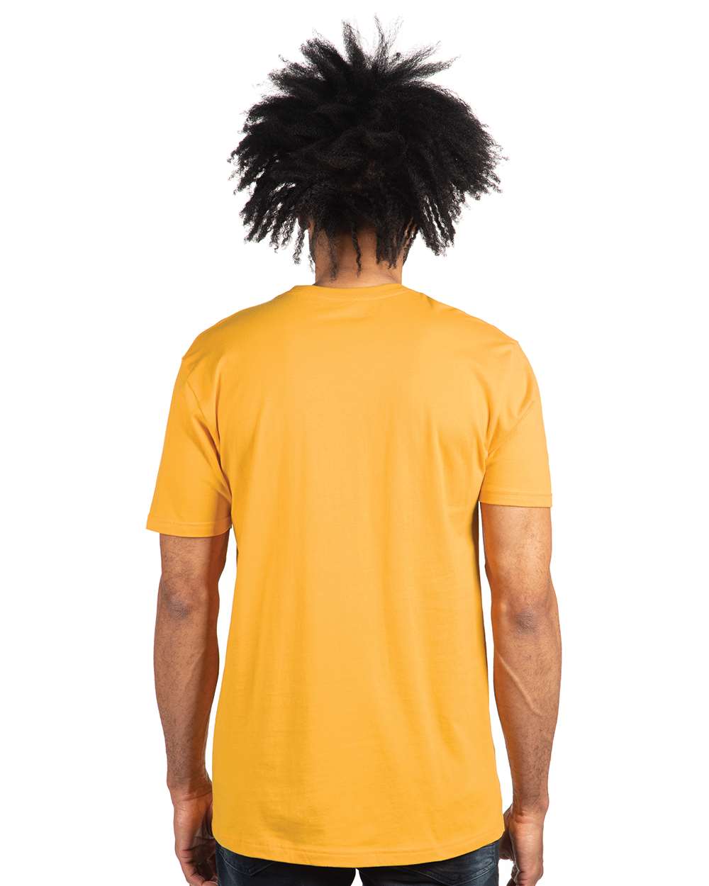 Next Level Cotton T-Shirt 3600