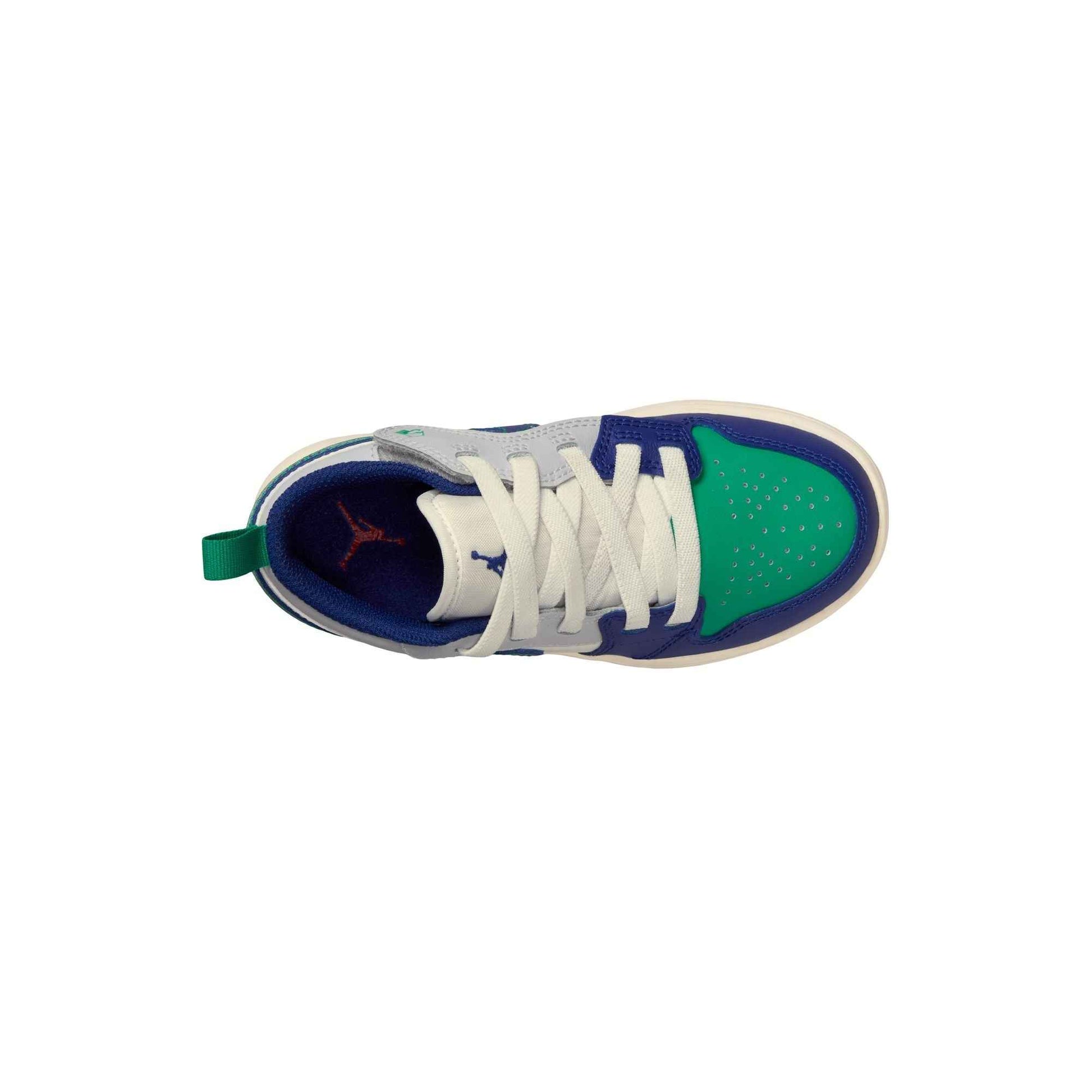 Y Jordan 1 Low Alt DR9748-147