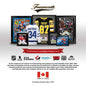 Vince Carter Toronto Raptors Framed 16x20 Extinct This Print