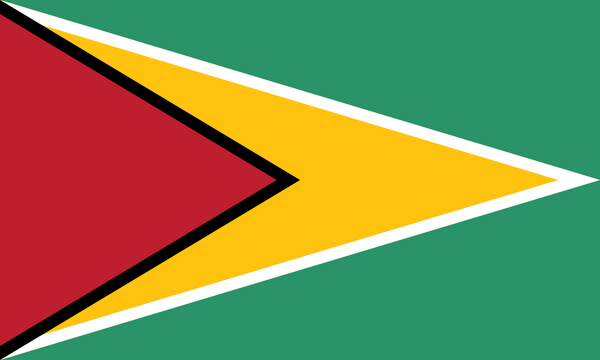 Flag of Guyana – A Proud Symbol of Strength & Heritage