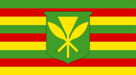 🌺 Hawaiian National Flag – Kanaka Maoli Flag 🌺