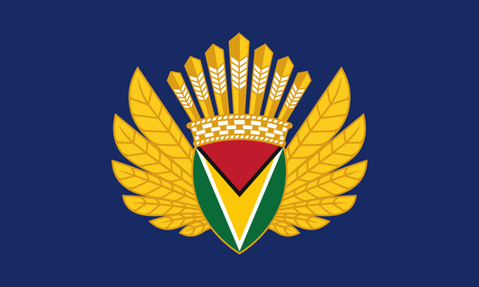Flag of Guyana - Presidential Standard (2020–Present)