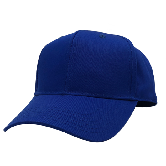 GN-1050 - Pro Style Cap - Royal / One Size - CAPS
