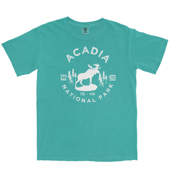 Acadia National Park Comfort Colors T Shirt - S / Seafoam - tshirt