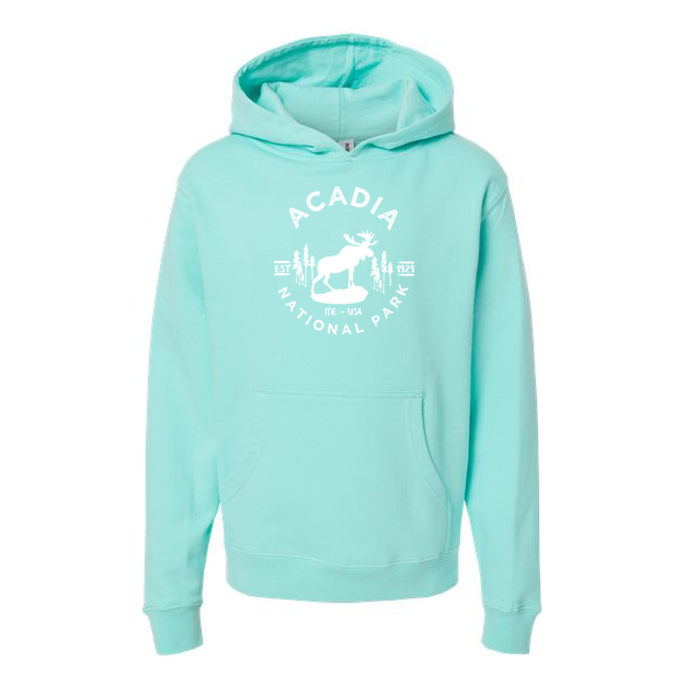 Acadia National Park Youth Hoodie Sweatshirt - S / Mint - hoodie