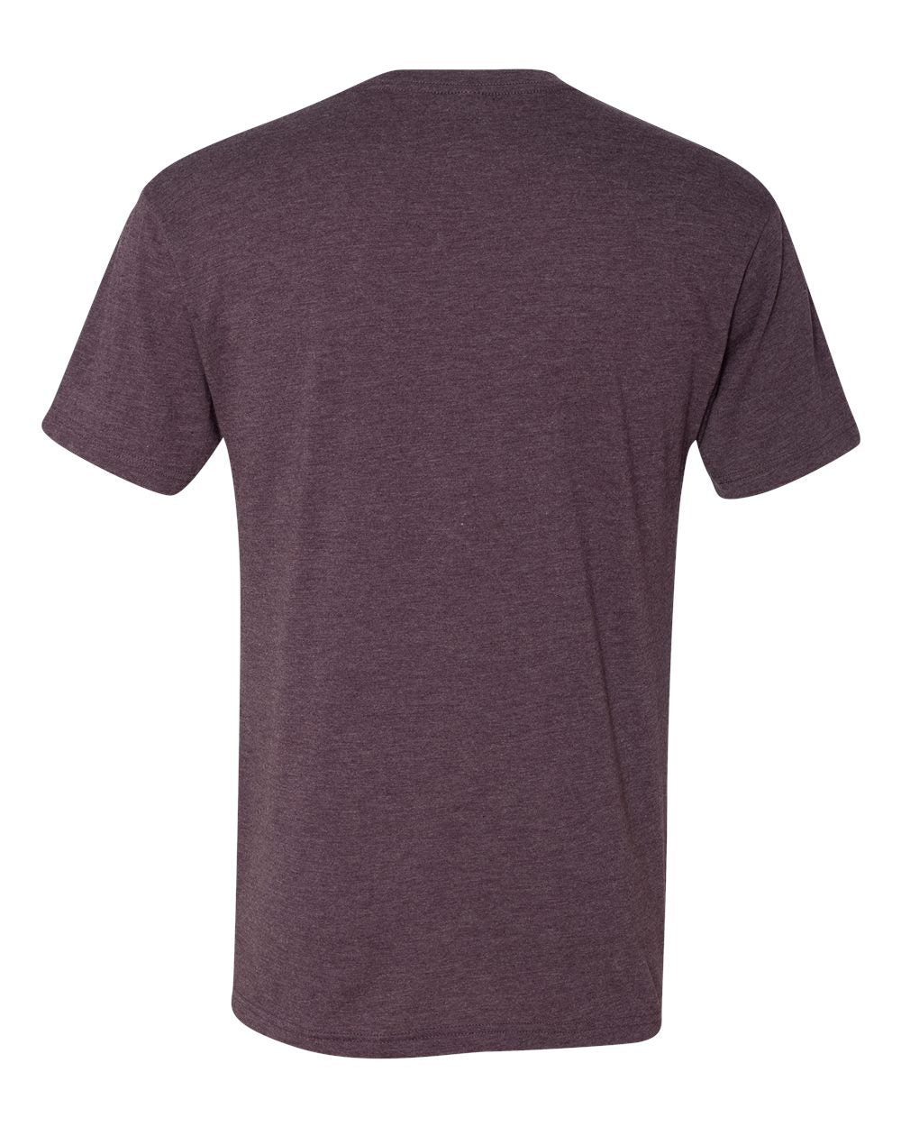 Next Level Triblend T-Shirt 6010