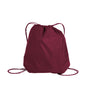 ATC - ATC™ EVERYDAY REUSABLE CINCH PACK. 4 L. - B120