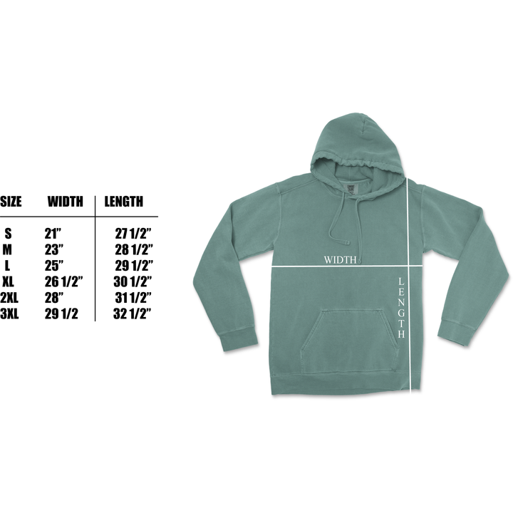 Big Bend National Park Comfort Colors Hoodie - hoodie