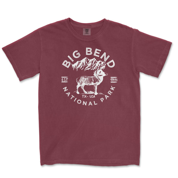 Big Bend National Park Comfort Colors T Shirt - S / Brick - tshirt