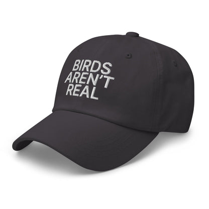 Birds Aren’t Real Embroidered Dad Hat
