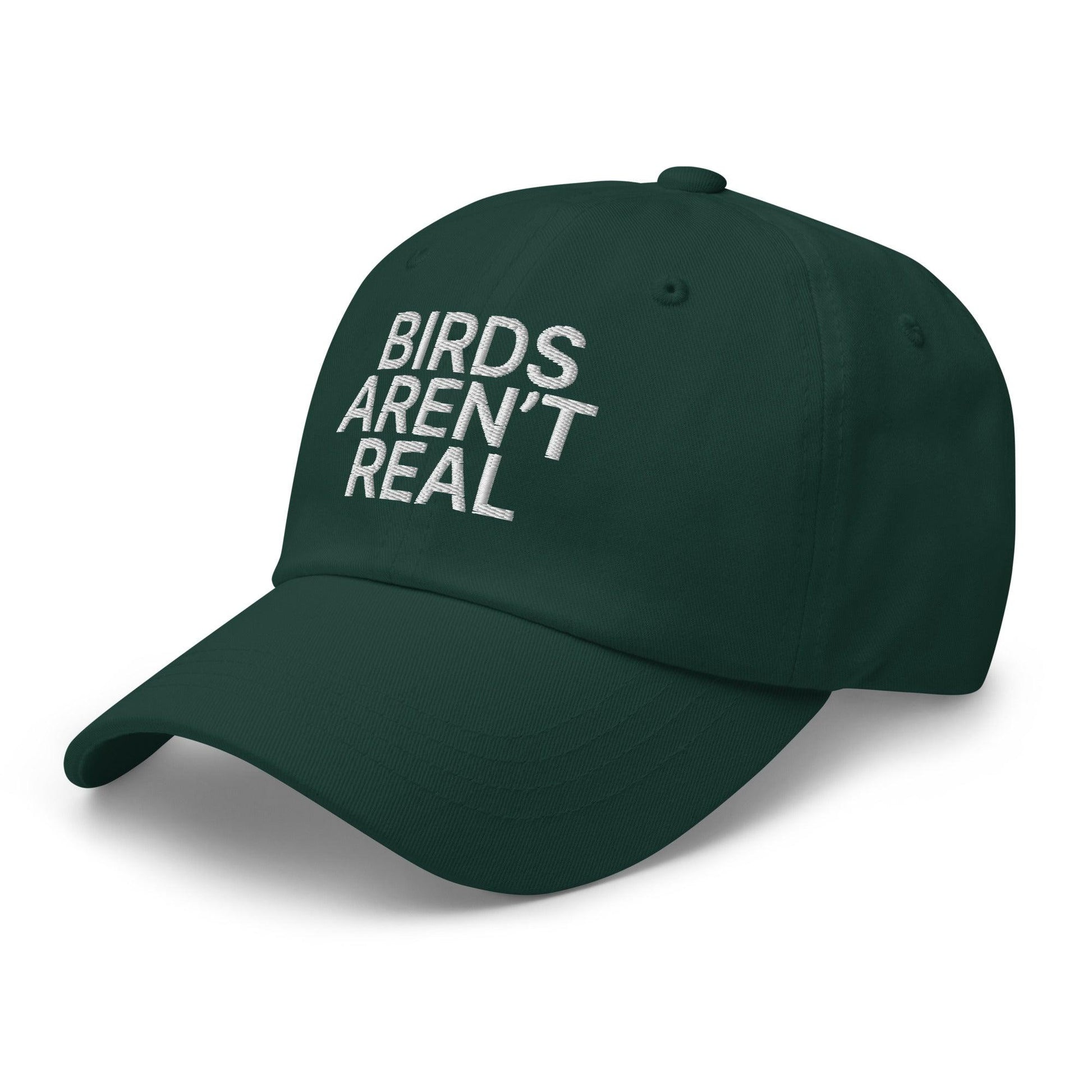 Birds Aren’t Real Embroidered Dad Hat
