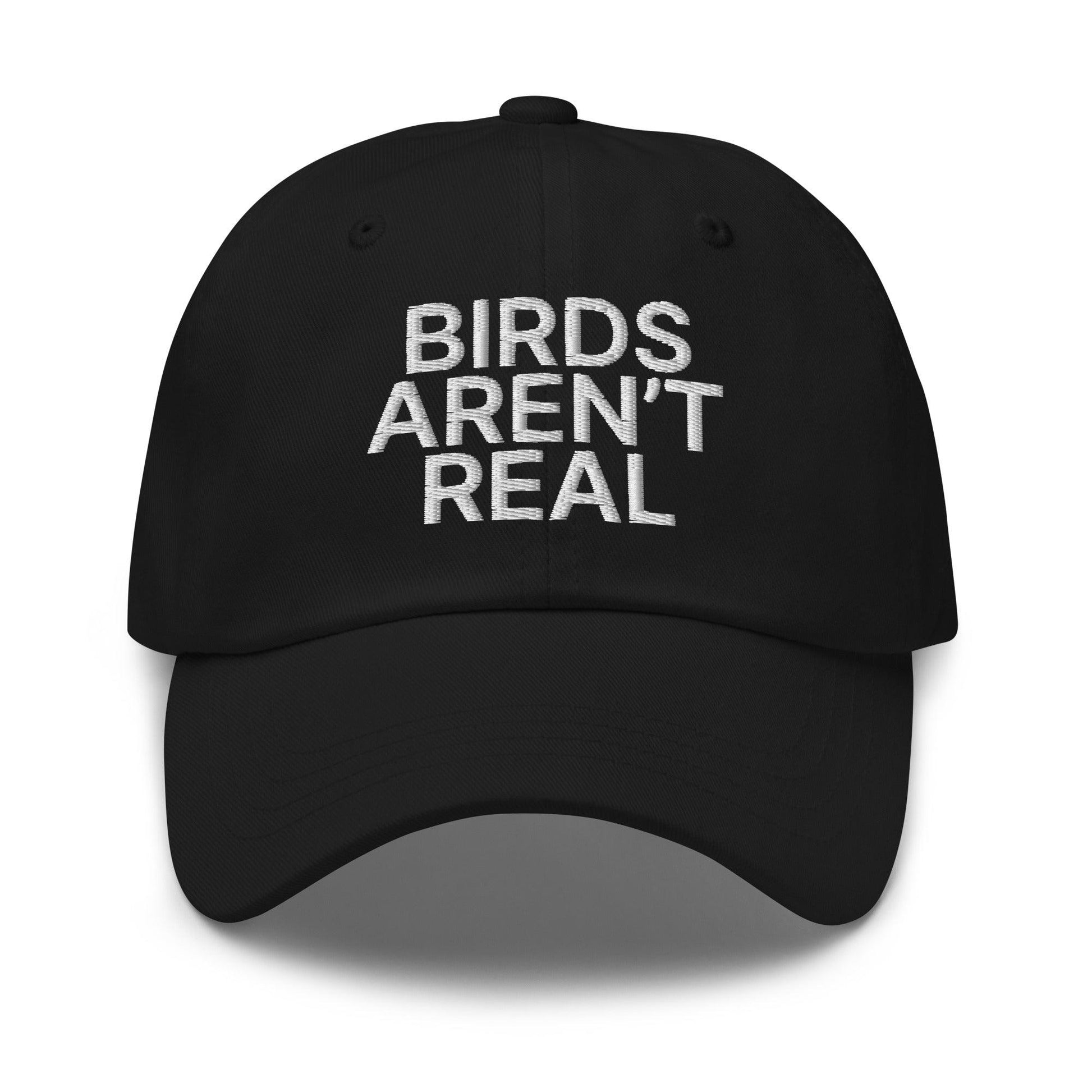 Birds Aren’t Real Embroidered Dad Hat - Black