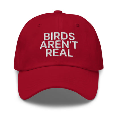 Birds Aren’t Real Embroidered Dad Hat - Cranberry