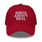 Birds Aren’t Real Embroidered Dad Hat - Cranberry