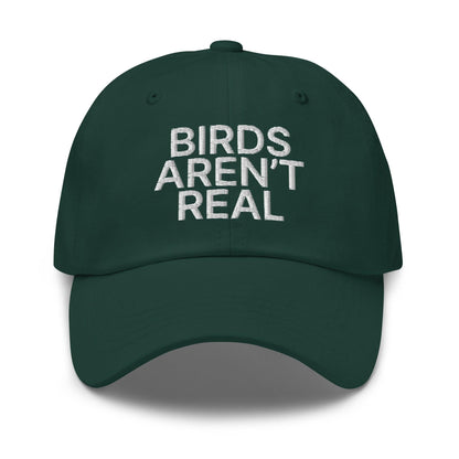 Birds Aren’t Real Embroidered Dad Hat - Spruce