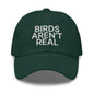 Birds Aren’t Real Embroidered Dad Hat - Spruce