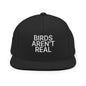 Birds Aren’t Real Embroidered Flat Bill Brim Snapback Hat - Black