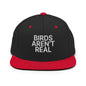 Birds Aren’t Real Embroidered Flat Bill Brim Snapback Hat - Black/ Red