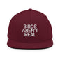Birds Aren’t Real Embroidered Flat Bill Brim Snapback Hat - Maroon