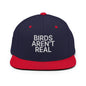 Birds Aren’t Real Embroidered Flat Bill Brim Snapback Hat - Navy/ Red