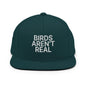 Birds Aren’t Real Embroidered Flat Bill Brim Snapback Hat - Spruce