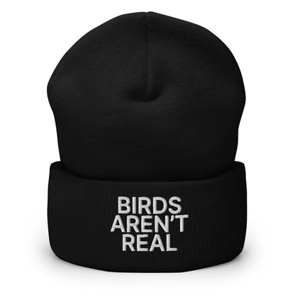 Birds Aren’t Real Embroidered Knit Cuffed Beanie - Black