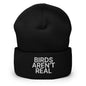 Birds Aren’t Real Embroidered Knit Cuffed Beanie - Black