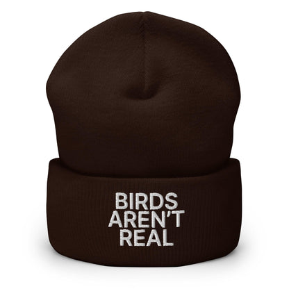 Birds Aren’t Real Embroidered Knit Cuffed Beanie - Brown