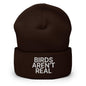 Birds Aren’t Real Embroidered Knit Cuffed Beanie - Brown