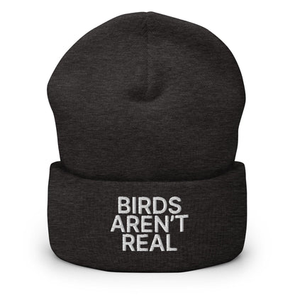 Birds Aren’t Real Embroidered Knit Cuffed Beanie - Dark Grey