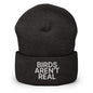 Birds Aren’t Real Embroidered Knit Cuffed Beanie - Dark Grey