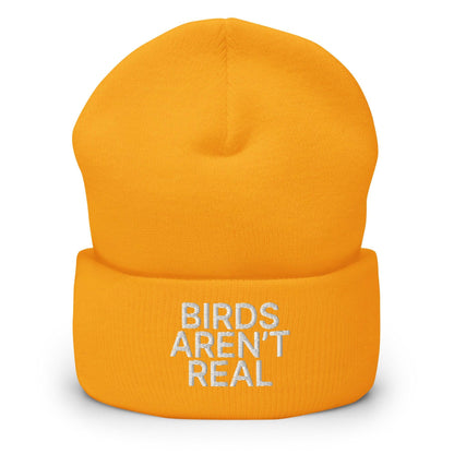 Birds Aren’t Real Embroidered Knit Cuffed Beanie - Gold
