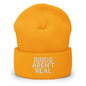 Birds Aren’t Real Embroidered Knit Cuffed Beanie - Gold