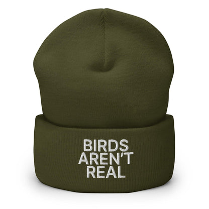Birds Aren’t Real Embroidered Knit Cuffed Beanie - Olive