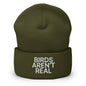 Birds Aren’t Real Embroidered Knit Cuffed Beanie - Olive