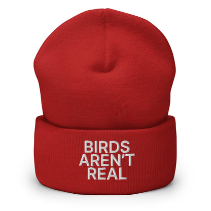Birds Aren’t Real Embroidered Knit Cuffed Beanie - Red