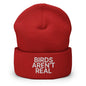 Birds Aren’t Real Embroidered Knit Cuffed Beanie - Red