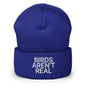 Birds Aren’t Real Embroidered Knit Cuffed Beanie - Royal