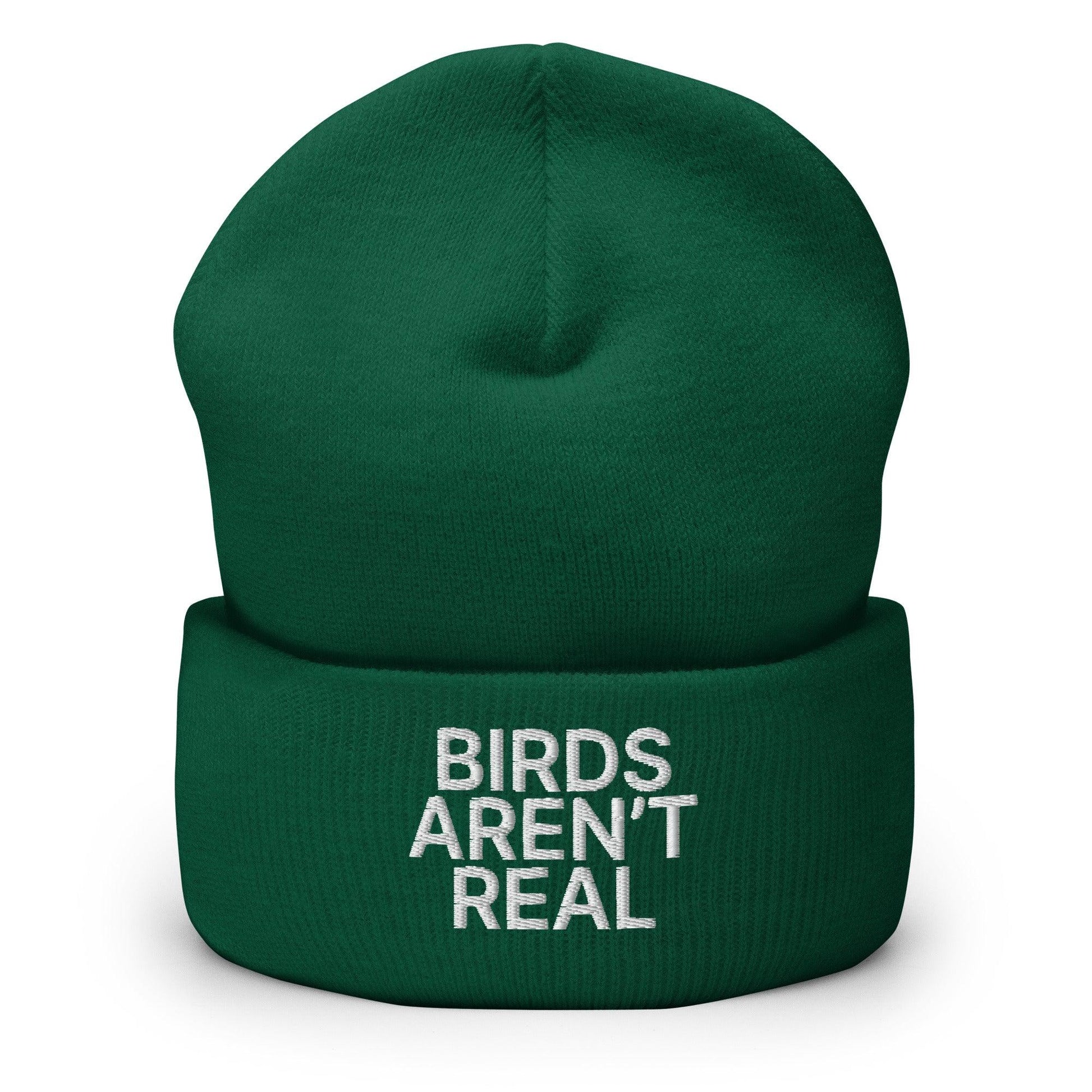 Birds Aren’t Real Embroidered Knit Cuffed Beanie - Spruce