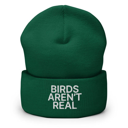 Birds Aren’t Real Embroidered Knit Cuffed Beanie - Spruce